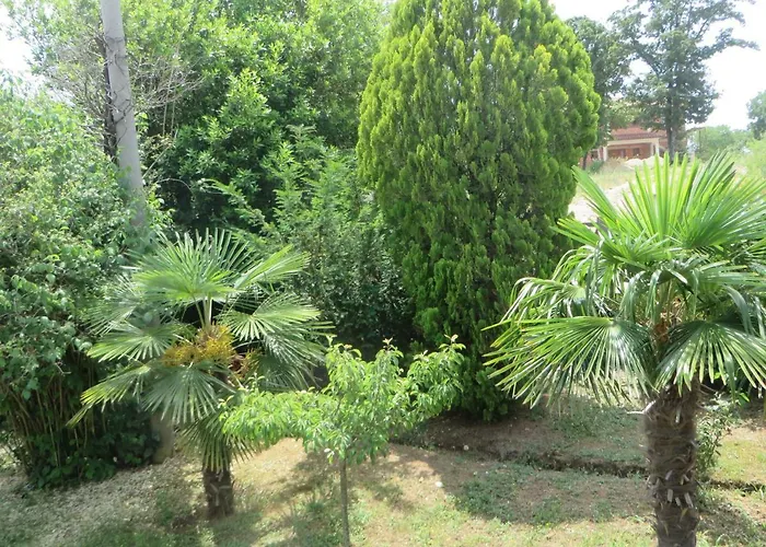 Gianna * Labin (Istria)